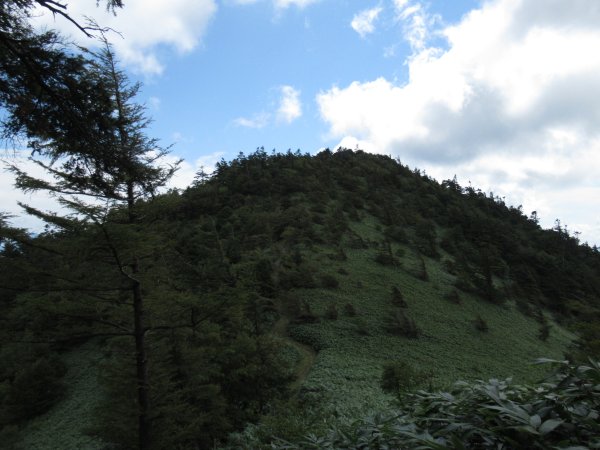 登山道